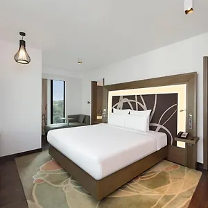 4* Hotel Ocean The Near Delhi Airport